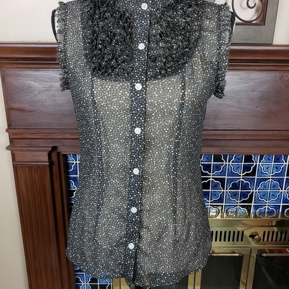 Banana Republic Sheer Polka Dot Sleeveless Blouse